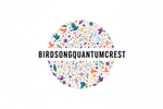 BIRDSONGQUANTUMCREST Logo